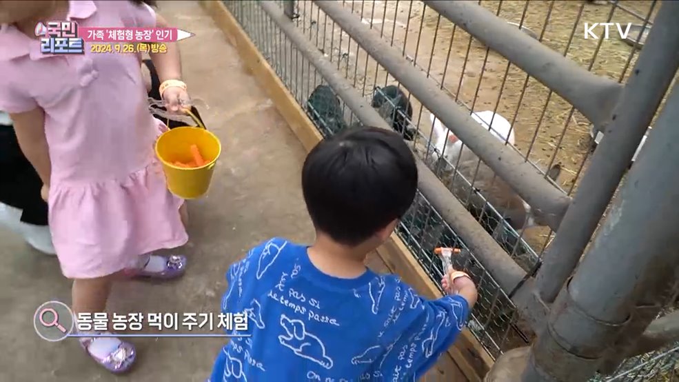 농촌에 활력 불어넣는 '체험형 농장' 인기