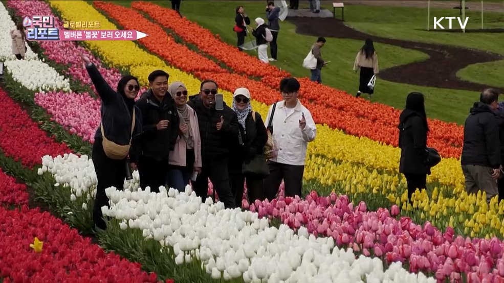 호주 멜버른, 봄의 전령 '튤립의 향연' 즐겨요