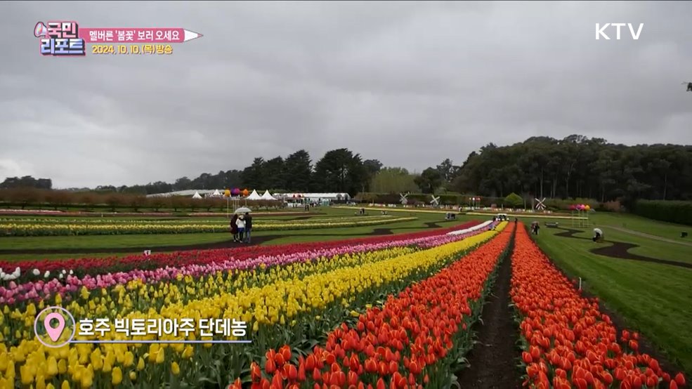 호주 멜버른, 봄의 전령 '튤립의 향연' 즐겨요