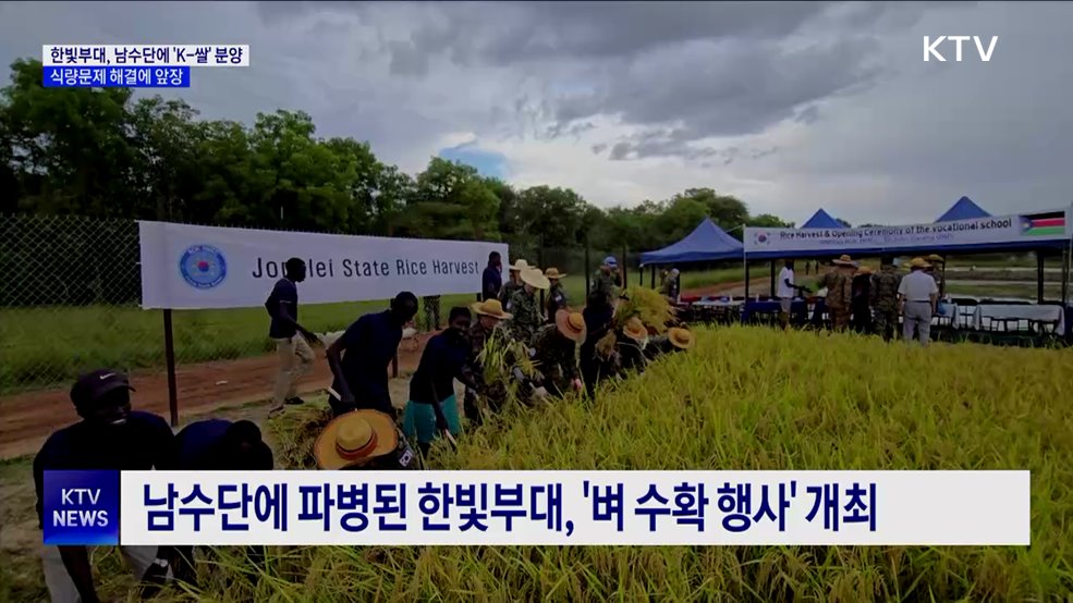 한빛부대, 남수단 식량문제 해결에 앞장···'K-라이스' 수확