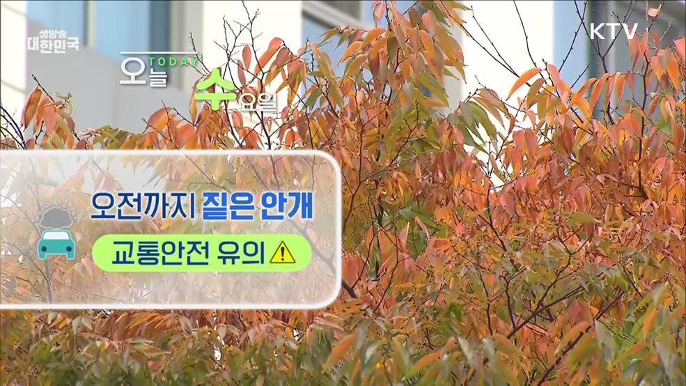 오늘의 날씨 (24. 10. 16. 09시)