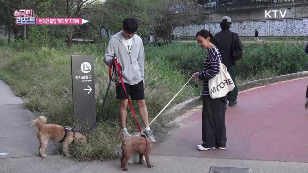 반려견 청계천 출입 허용 '펫티켓' 잘 지켜야