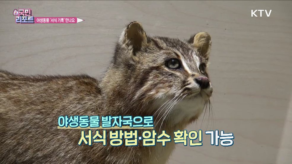야생동물 '서식 흔적' 만나는 기획전 열려