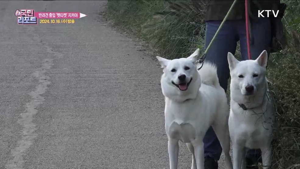 반려견 청계천 출입 허용 '펫티켓' 잘 지켜야