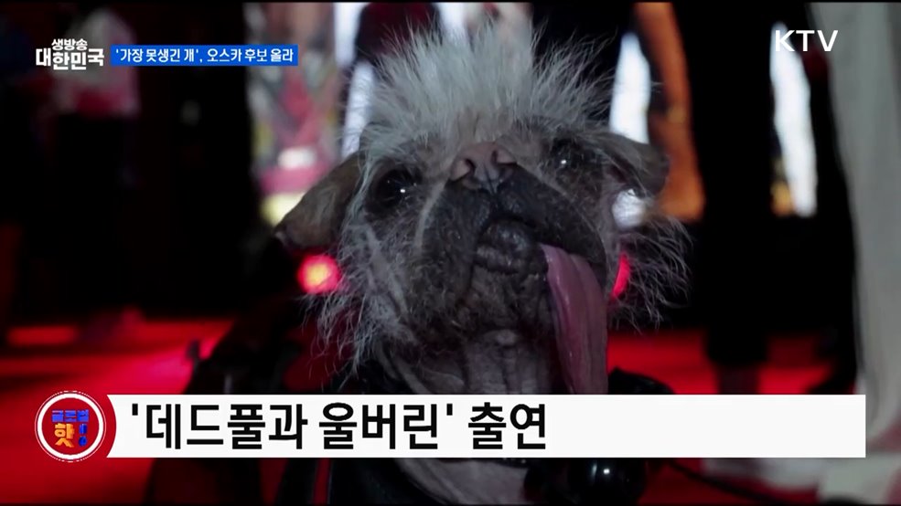 쿠바 전역 정전 사태 [글로벌 핫이슈]