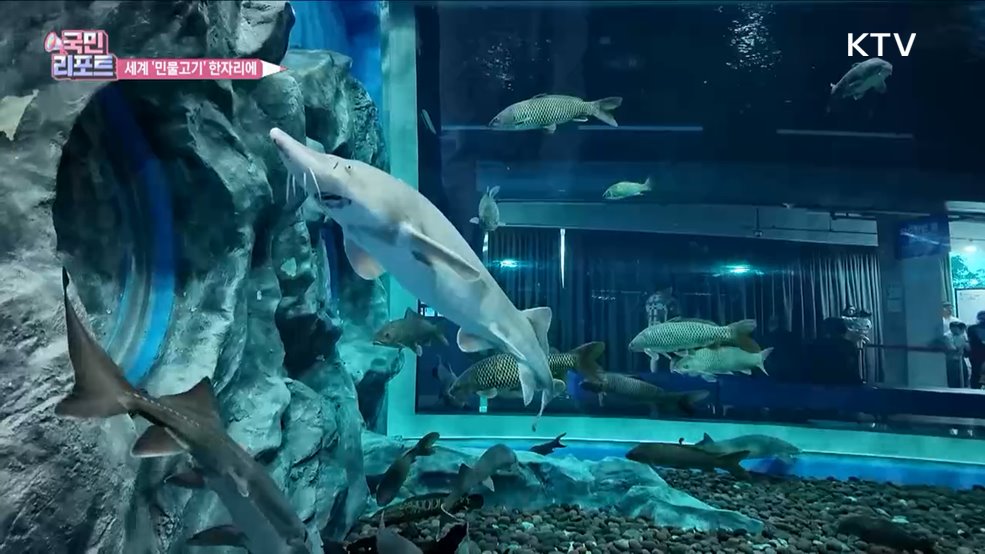 국내외 민물고기 전시 '중부권 명소'로 우뚝