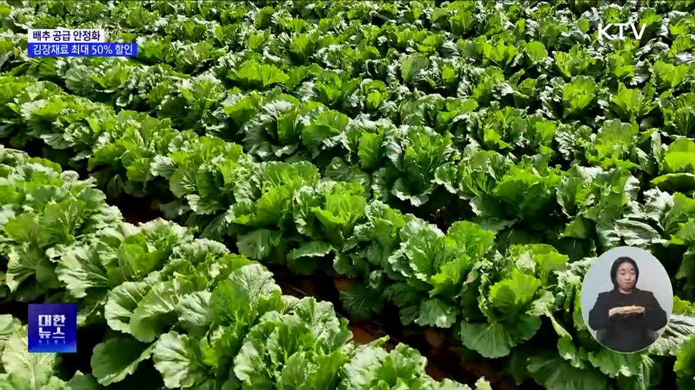 "김장철 배추 공급 문제없어"···김장재료 최대 50% 할인 [정책현장+]