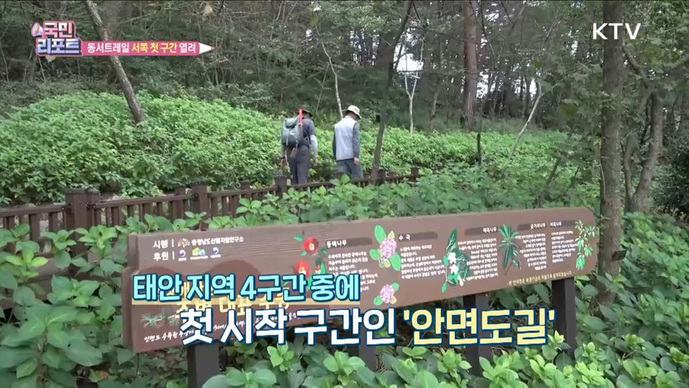 동서트레일 서쪽 첫 구간 '안면도길' 개통