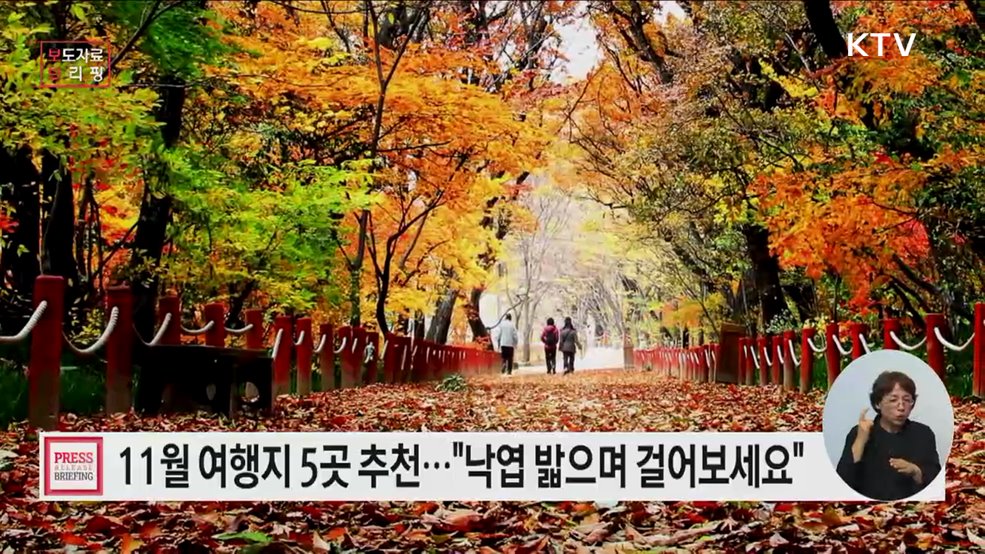 가을 정취가 남아 있는 낙엽길을 찾아