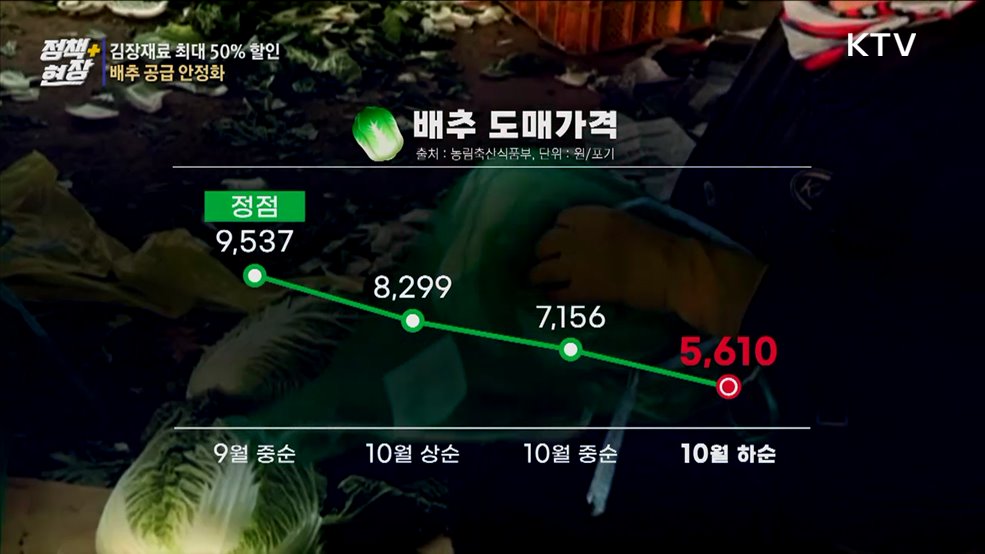 "김장철 배추 공급 문제없어"···김장재료 최대 50% 할인
