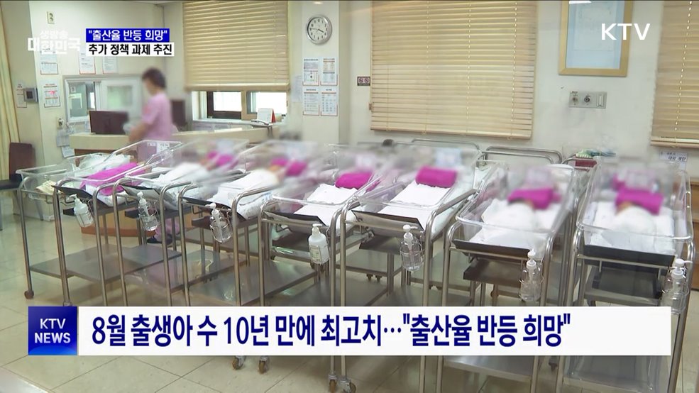 "출산율 반등 희망···일가정 양립 기업 세무조사 유예"