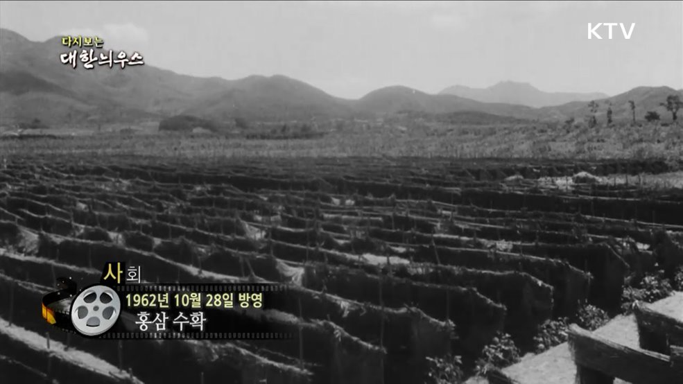 다시보는 대한늬우스 (62. 10. 28.)