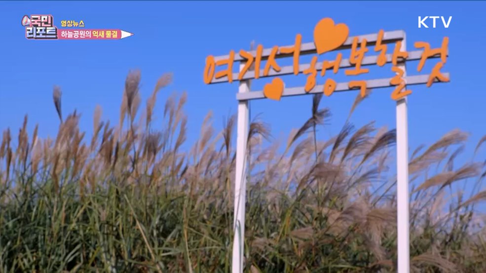 하늘공원의 억새 물결 [한국의 美]
