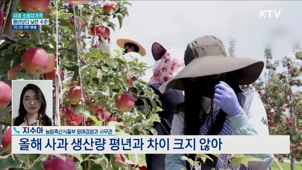 금사과까진 아닌데 여전히 부담스러운 사과값?