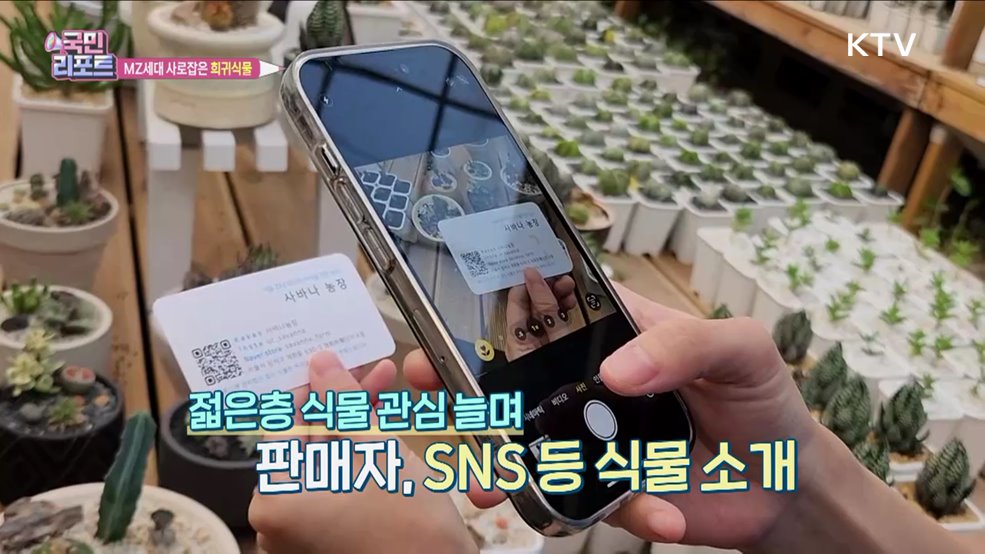 개성 있는 '희귀식물' MZ세대 사로잡아