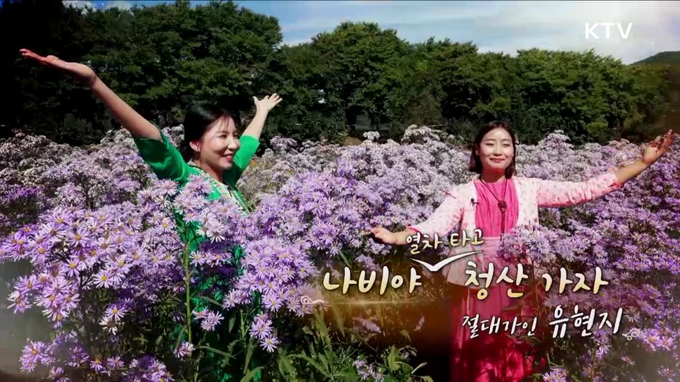 나비야 열차 타고 청산가자