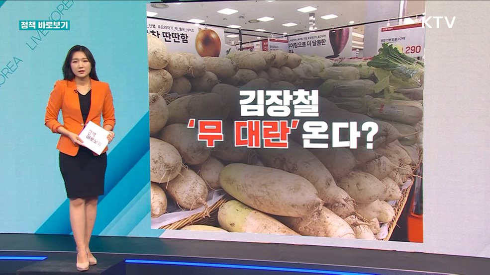 정책 바로보기 (527회)