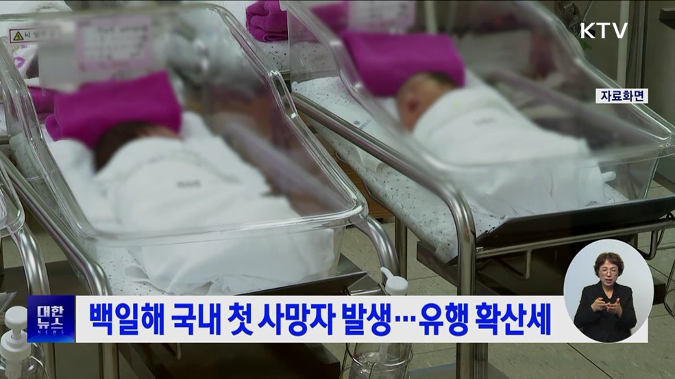 백일해 국내 첫 사망자 발생···유행 확산세