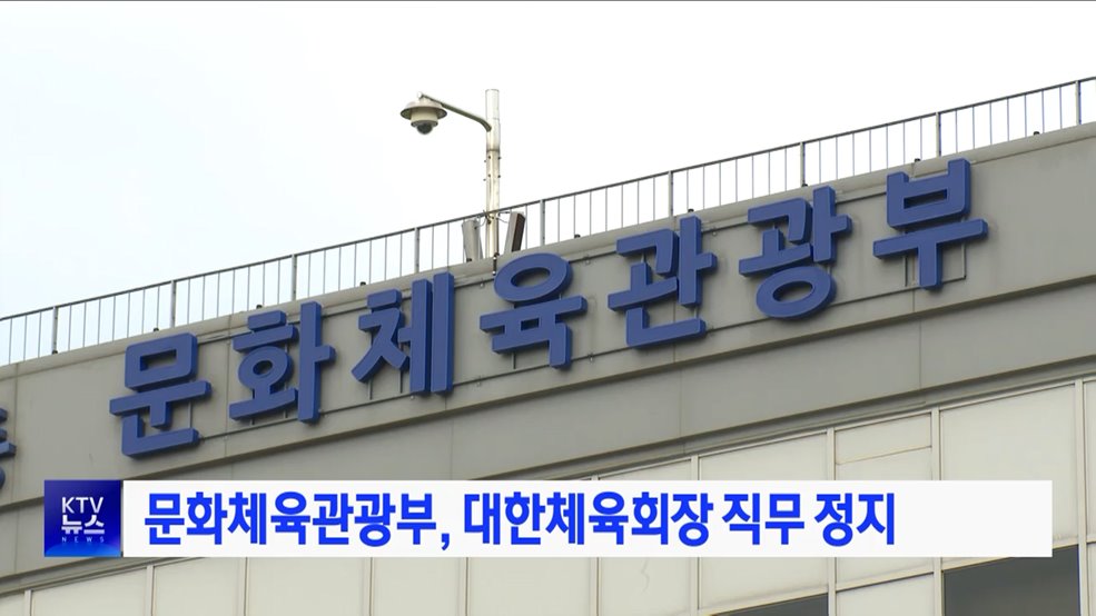 문화체육관광부, 대한체육회장 직무 정지