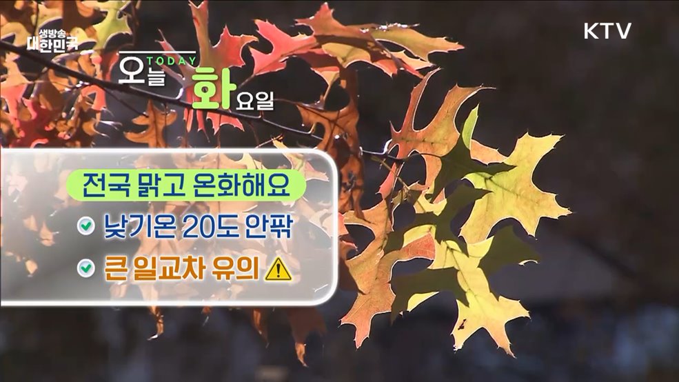 오늘의 날씨 (24. 11. 12. 10시)