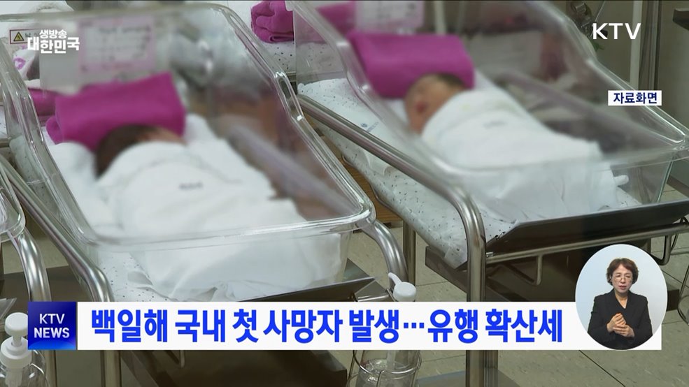 백일해 국내 첫 사망자 발생···유행 확산세