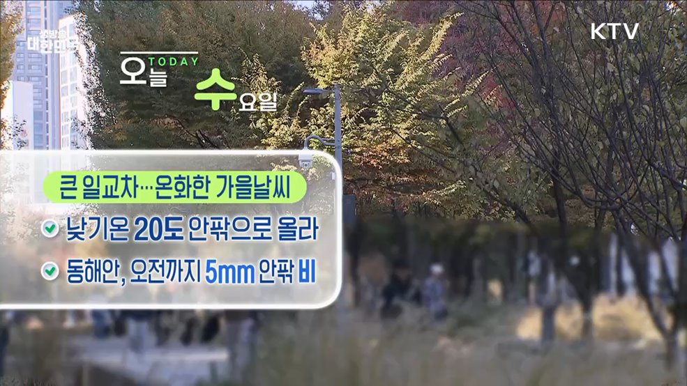 오늘의 날씨 (24. 11. 13. 10시)