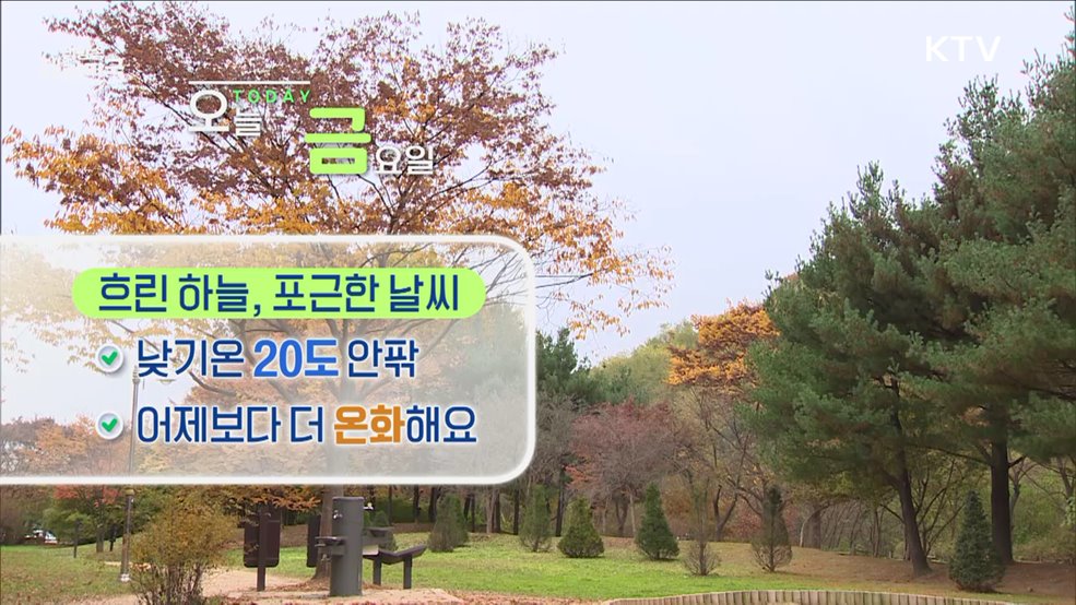 오늘의 날씨 (24. 11. 15. 10시)