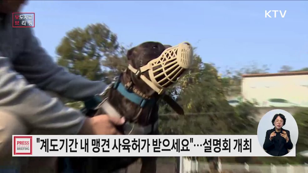 맹견사육허가제 계도기간 끝나기 전에 꼭 맹견 사육허가 받으세요!