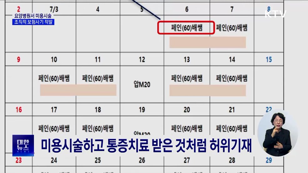 요양병원서 미용시술···조직적 보험사기 141명 적발