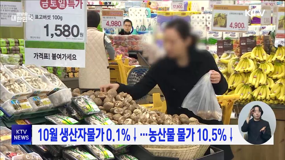 10월 생산자물가 0.1%↓···농산물 물가 10.5%↓