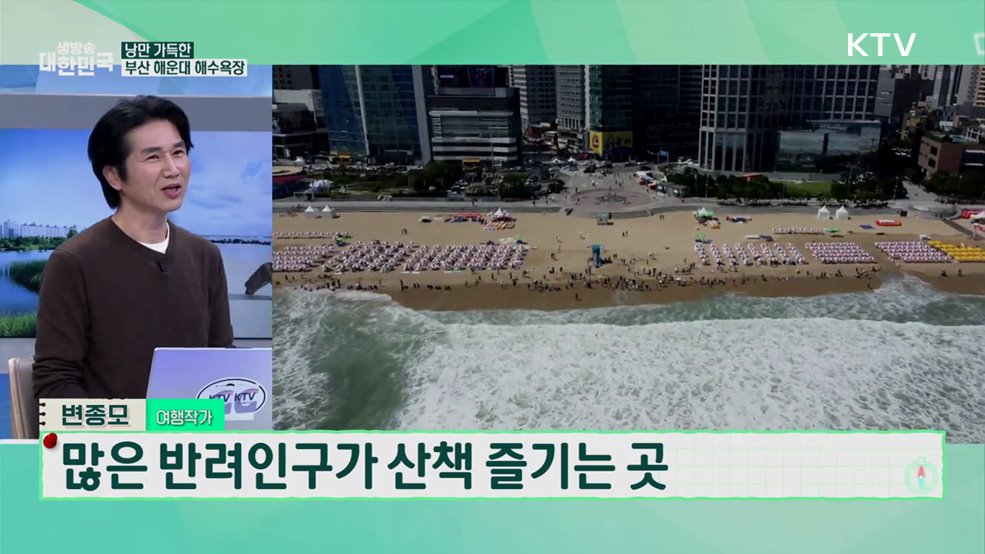 평생 가족 반려동물과 함께 떠나는 국내여행 [여행을 떠나요]