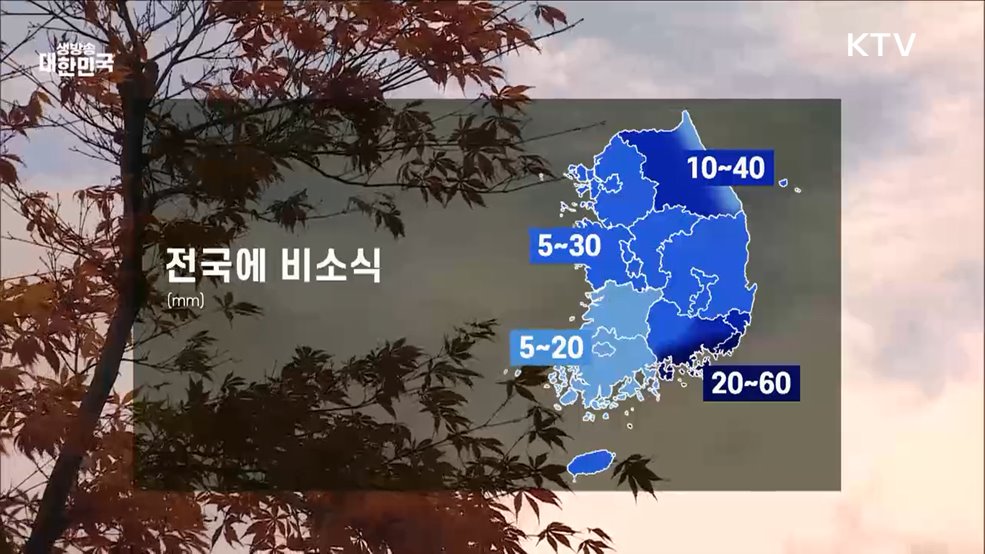 오늘의 날씨 (24. 11. 26. 10시)