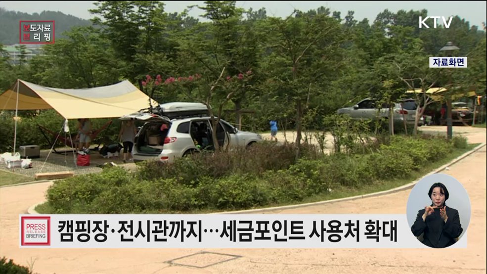 캠핑부터 전시까지, 일상에 녹아든 세금포인트 혜택을 누려보세요