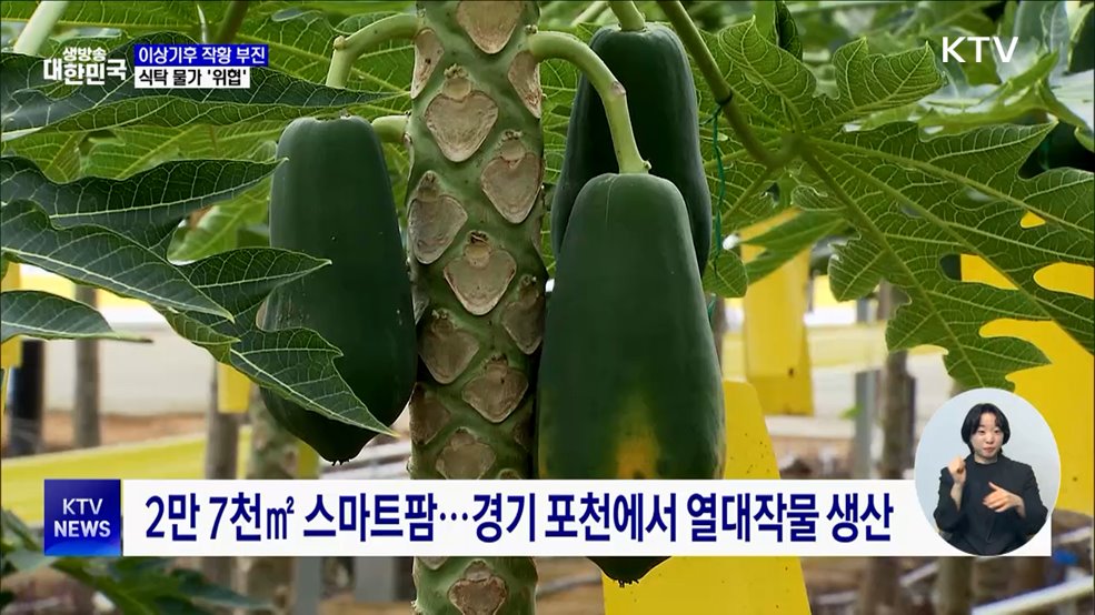 이상기후로 작황 부진···식탁 물가 '위협'