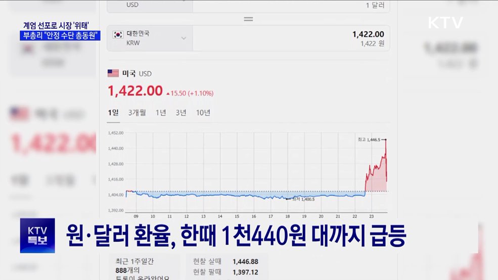 비상계엄 선포 후 시장 '쇼크'···정부 부처 긴급 대응