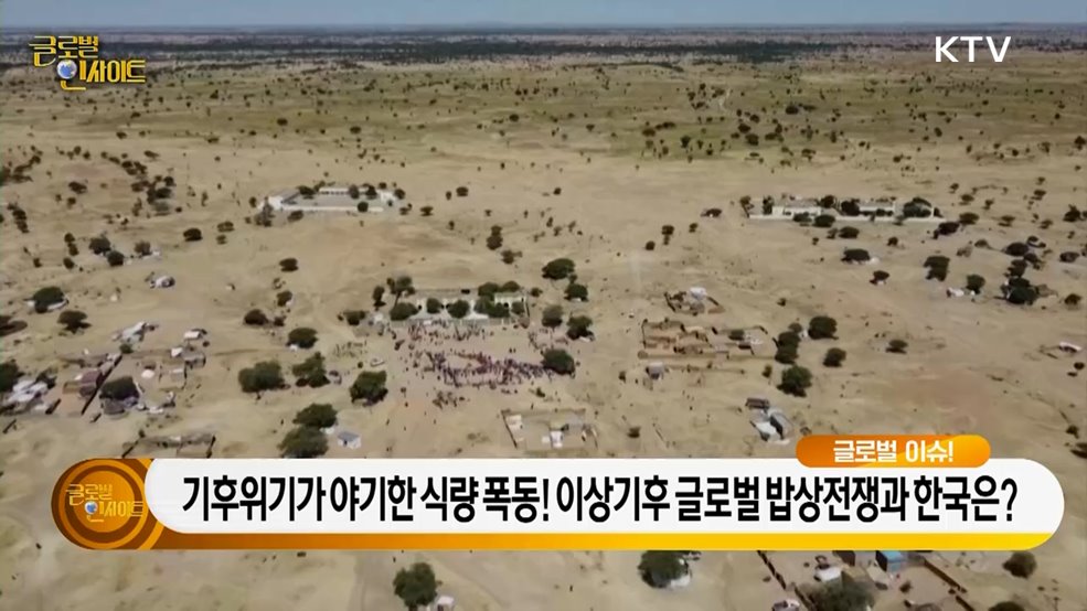 생방송 글로벌 인사이트 (25회)