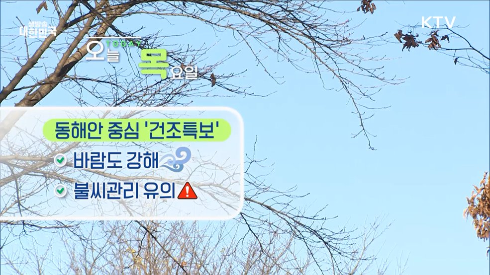 오늘의 날씨 (24. 12. 05. 10시)