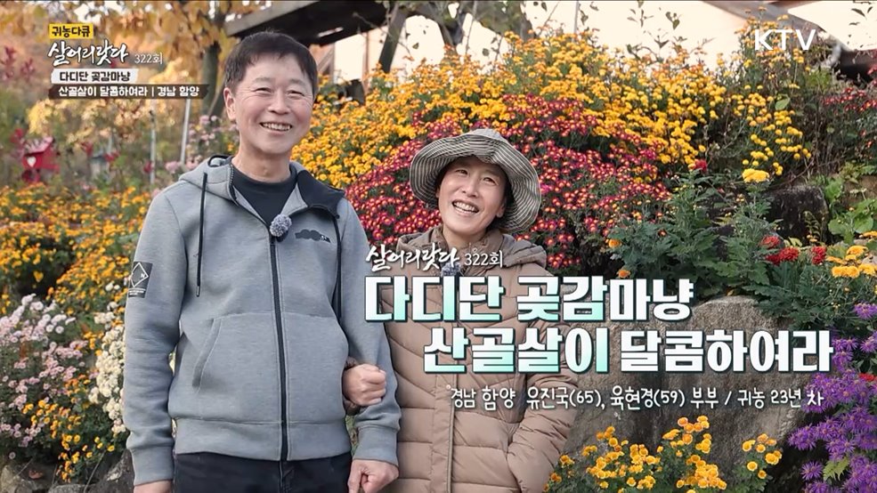 다디단 곶감마냥 산골살이 달콤하여라