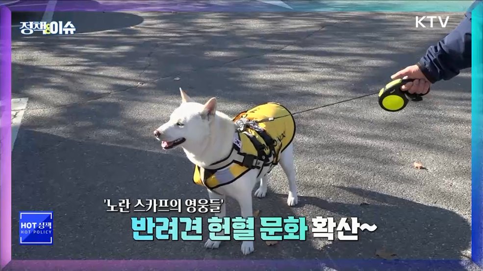 생방송 정책&이슈 (467회)