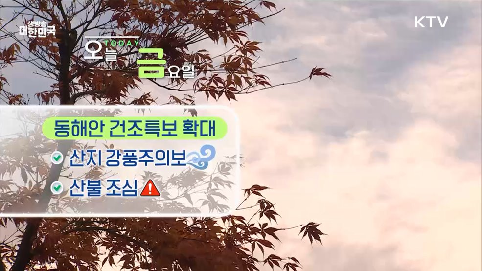 오늘의 날씨 (24. 12. 06. 10시)