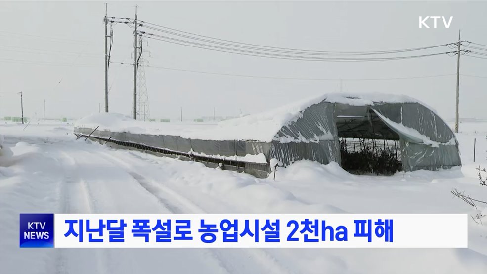 지난달 폭설로 농업시설 2천ha 피해