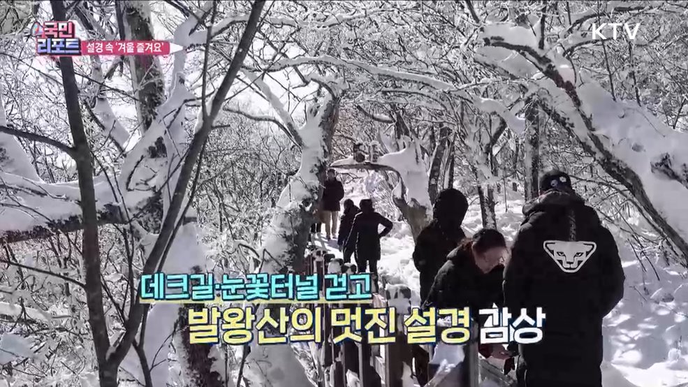 스키 시즌 활짝, 멋진 설경 속 겨울 즐겨요