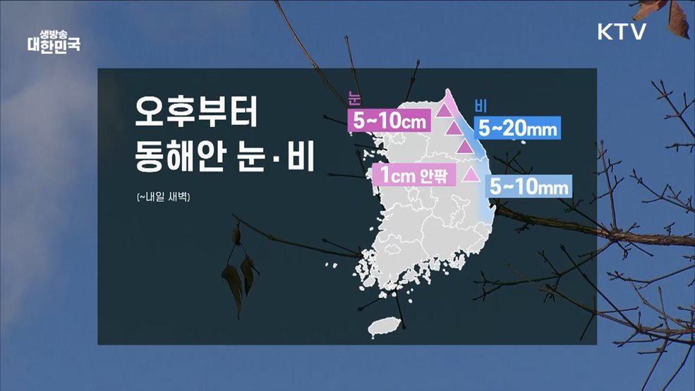 오늘의 날씨 (24. 12. 11. 10시)