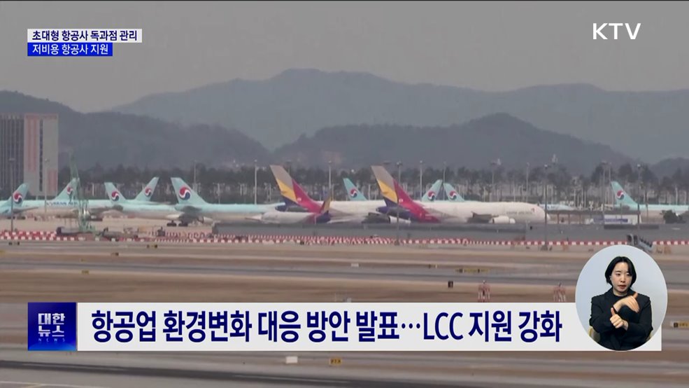 초대형 항공사 독과점 관리···저비용 항공사 지원