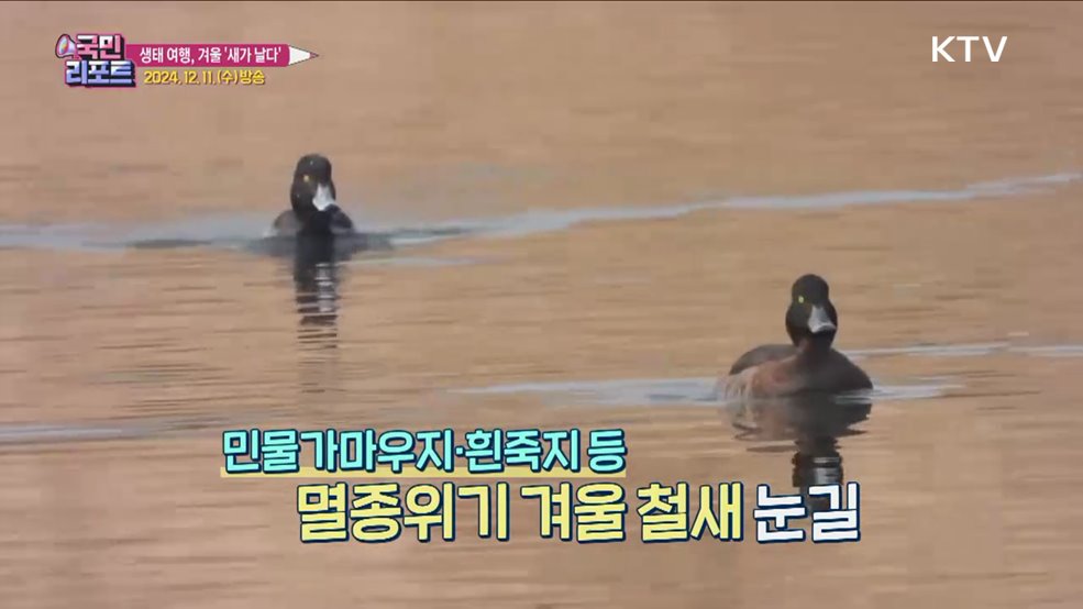 겨울 '철새 탐조'하며 DMZ 평화의 길 걸어요