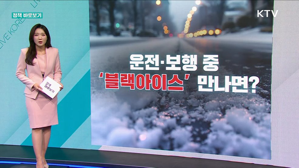 정책 바로보기 (551회)