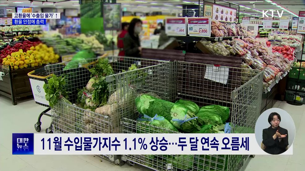 고환율에 '수출입 물가' 상승세···환율 안정에 총력