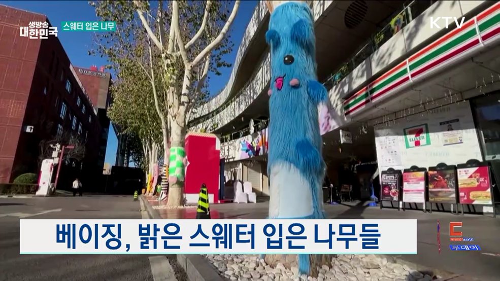 겨울 거리 장식한 스웨터 입은 나무 [월드 투데이]