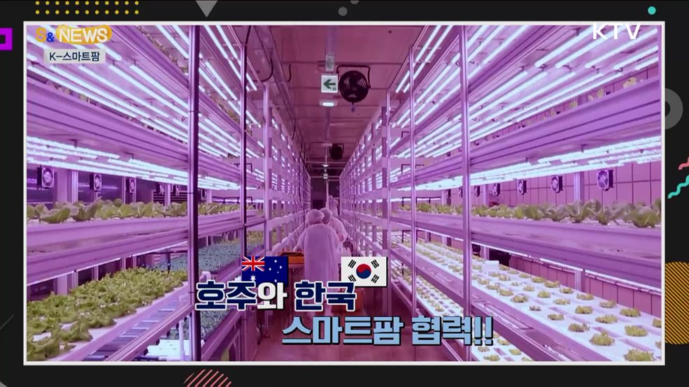 온실 아닌 노지에서도 스마트농업이? [S&News]