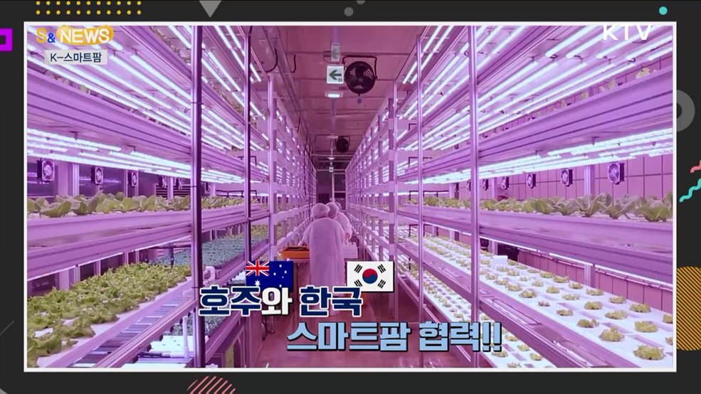 온실 아닌 노지에서도 스마트농업이? [S&News]